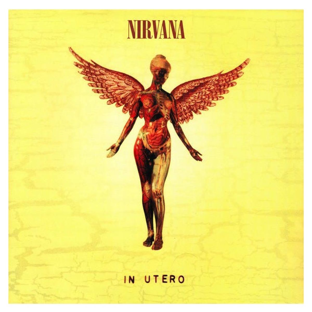 GENERICO - Vinilo Nirvana - In Utero