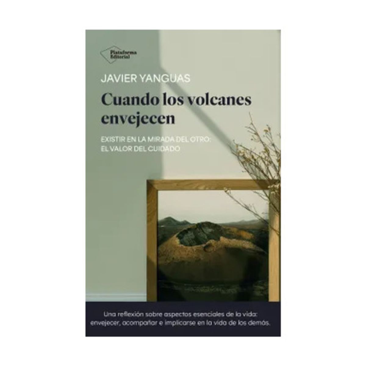 TOP10BOOKS - LIBRO Cuando Los Volcanes Envejecen - Cuando Los Volcanes Envejecen