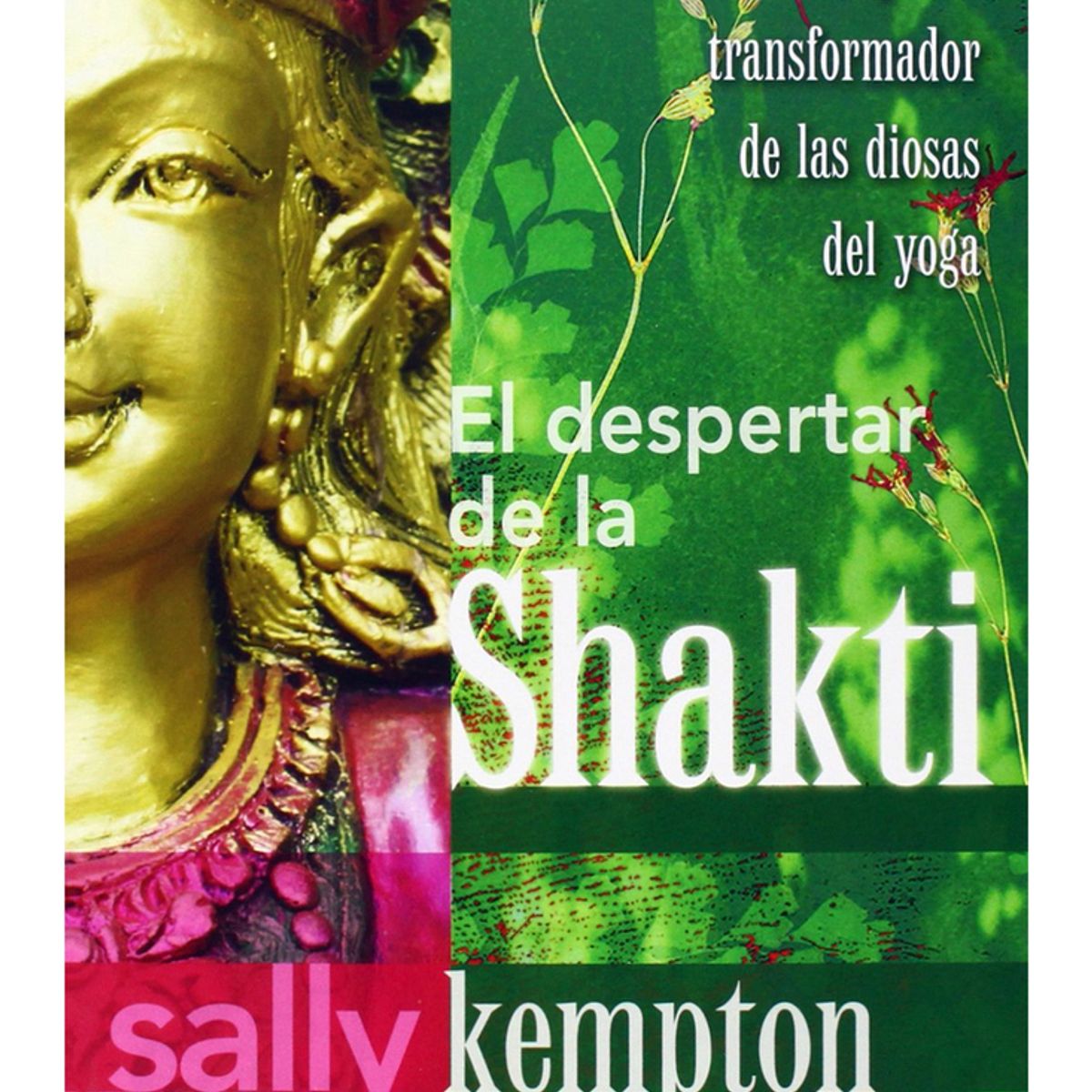 TOP10BOOKS - LIBRO Despertar De La Chaki - Despertar De La Chaki