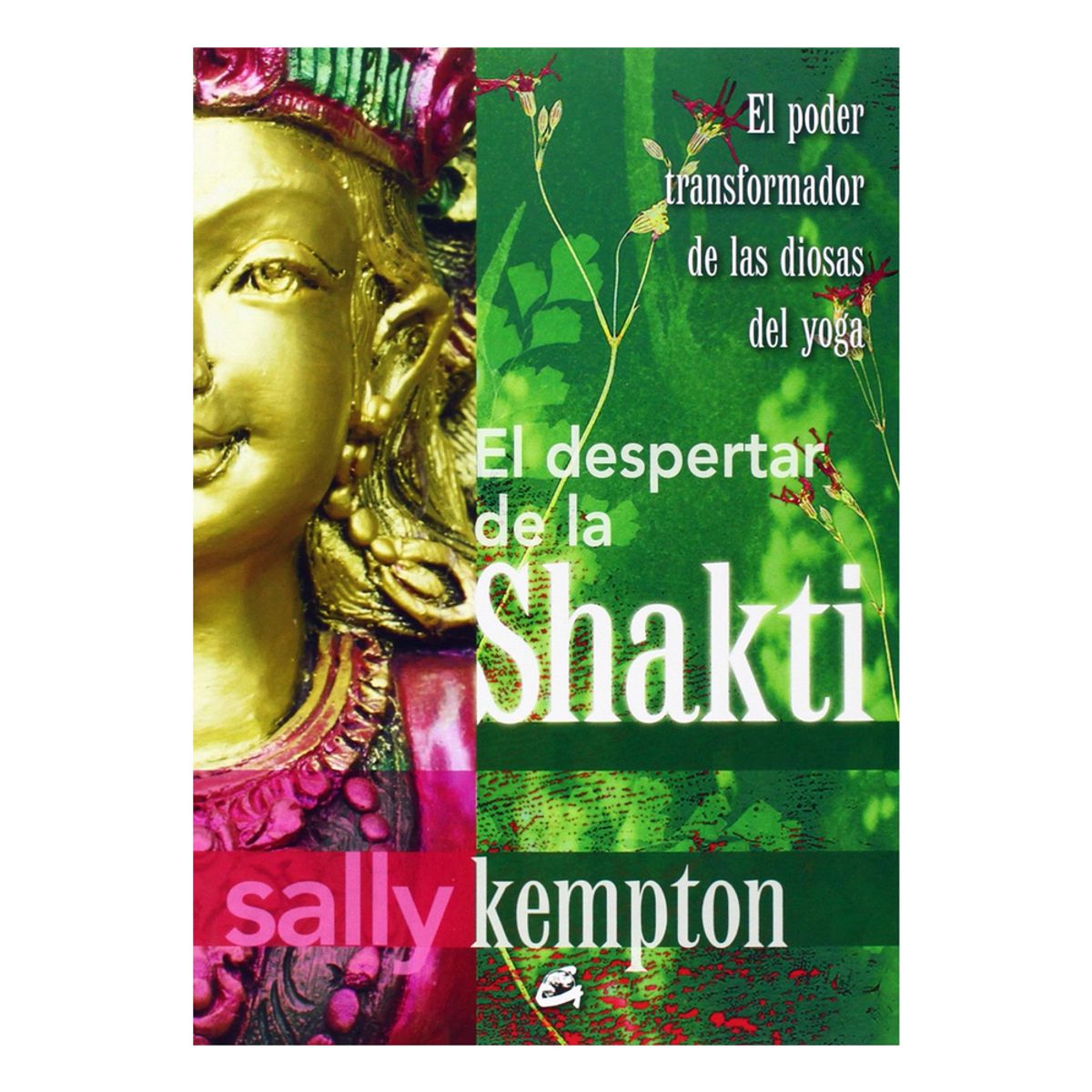 TOP10BOOKS - LIBRO Despertar De La Chaki - Despertar De La Chaki