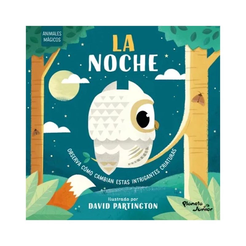 TOP10BOOKS - LIBRO Animales Mágicos. La Noche - VARIOS AUTORES