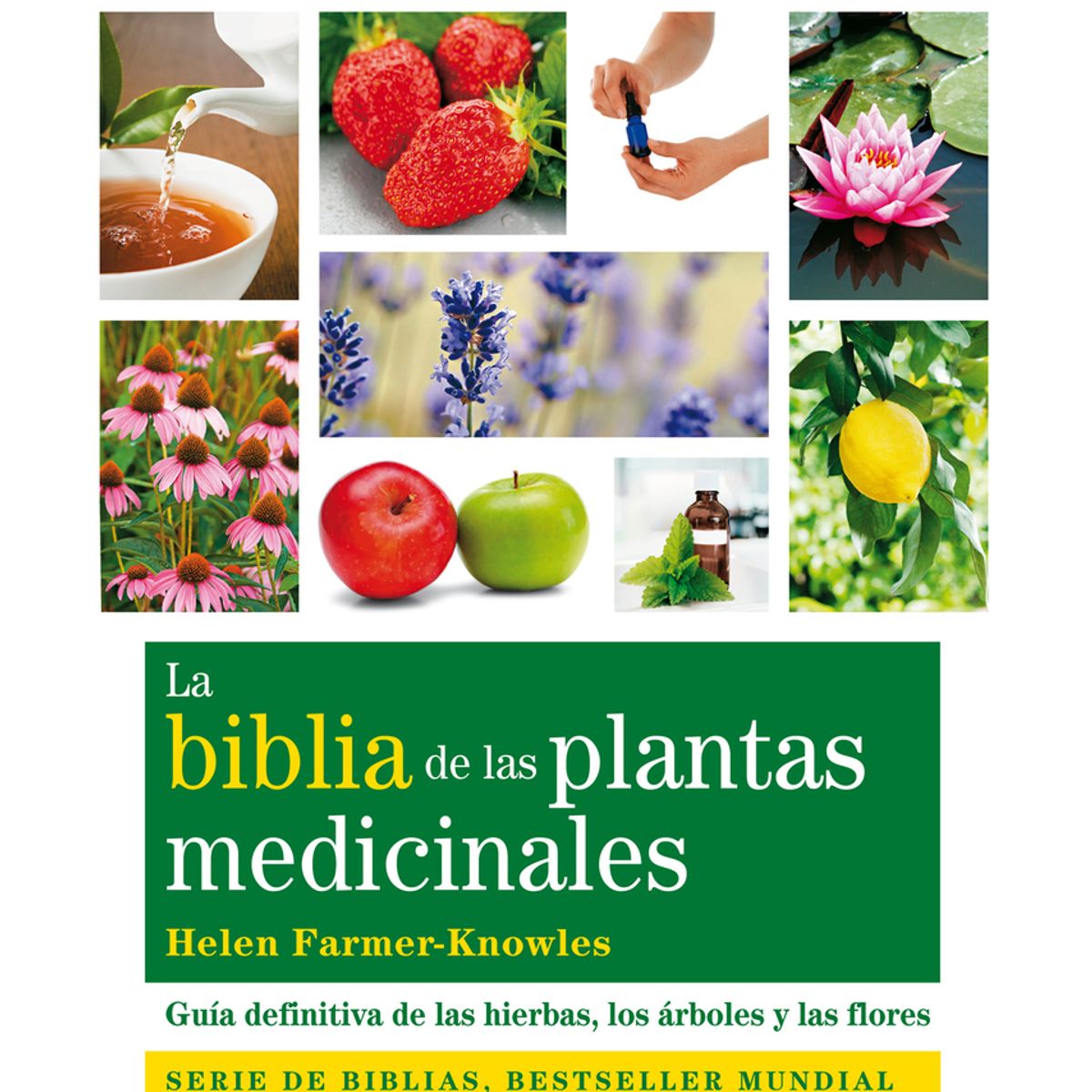 TOP10BOOKS - LIBRO La Biblia De Las Plantas Medicinales