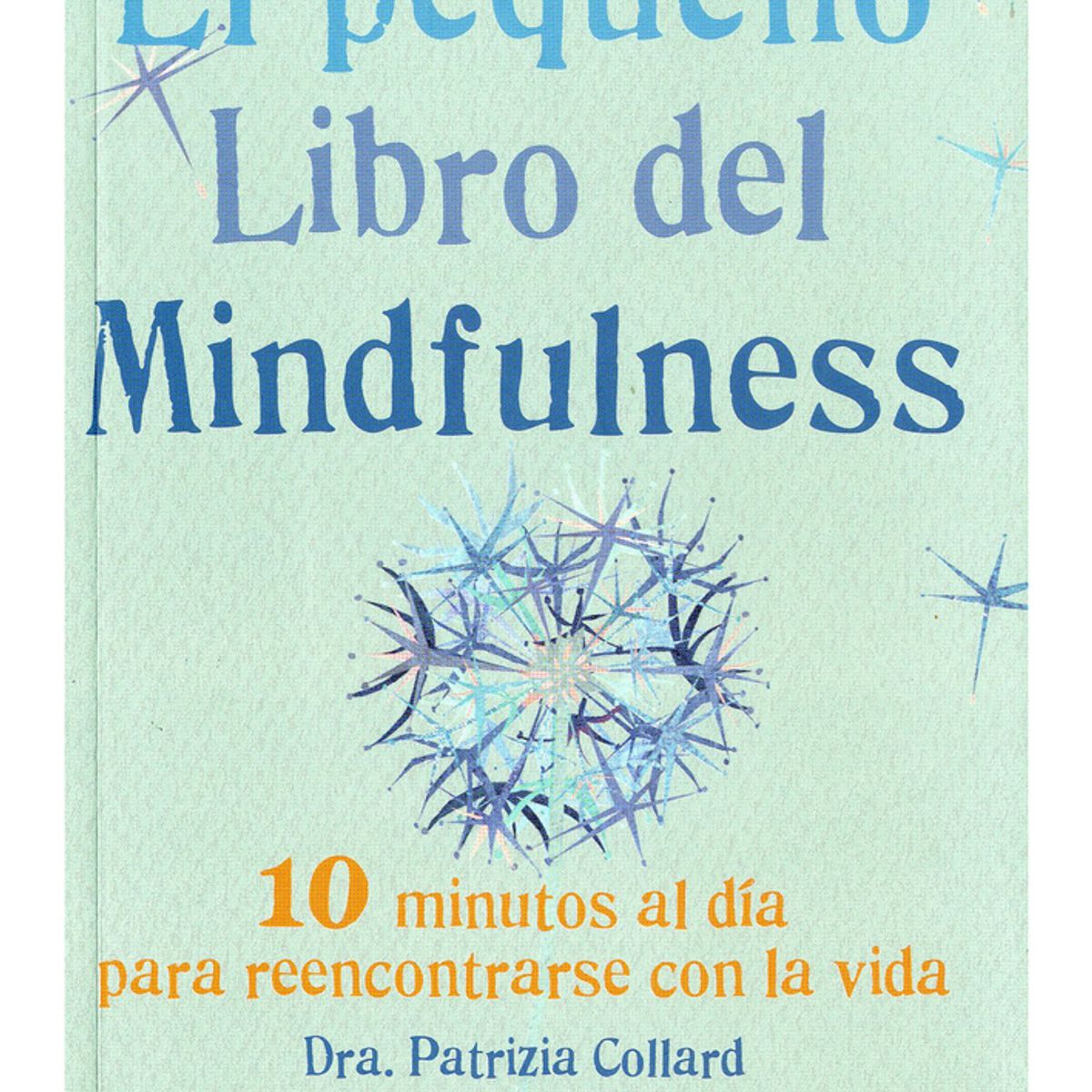 TOP10BOOKS - LIBRO Pequeño Libro Del Mindfulness - Pequeño Libro Del Mindfulness