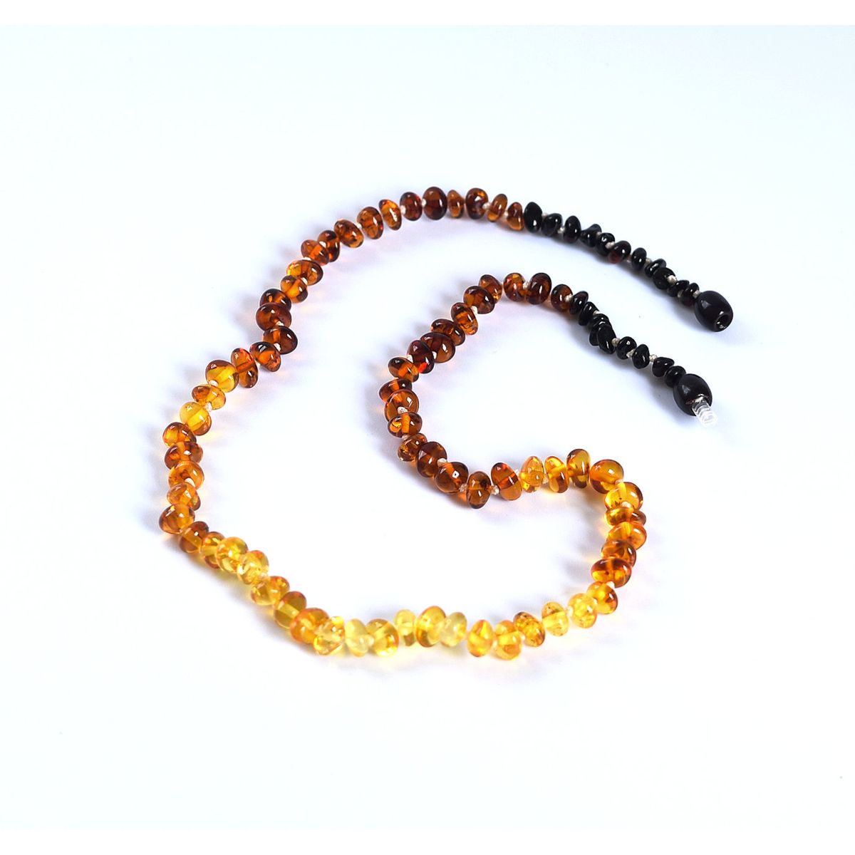 GENERICO - Collar Adulto Ámbar Degradé Certificado