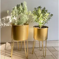 GENERICO - Set 2 Portamaceteros Bonsái Pedestal Alto Dorado Casa Cuore