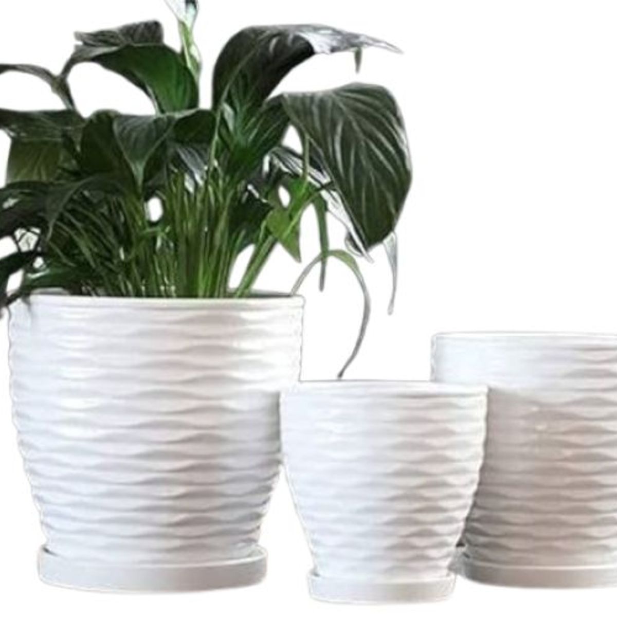 GENERICO - Set 3 Maceteros Ceramica Blanco Elegante Acanalado