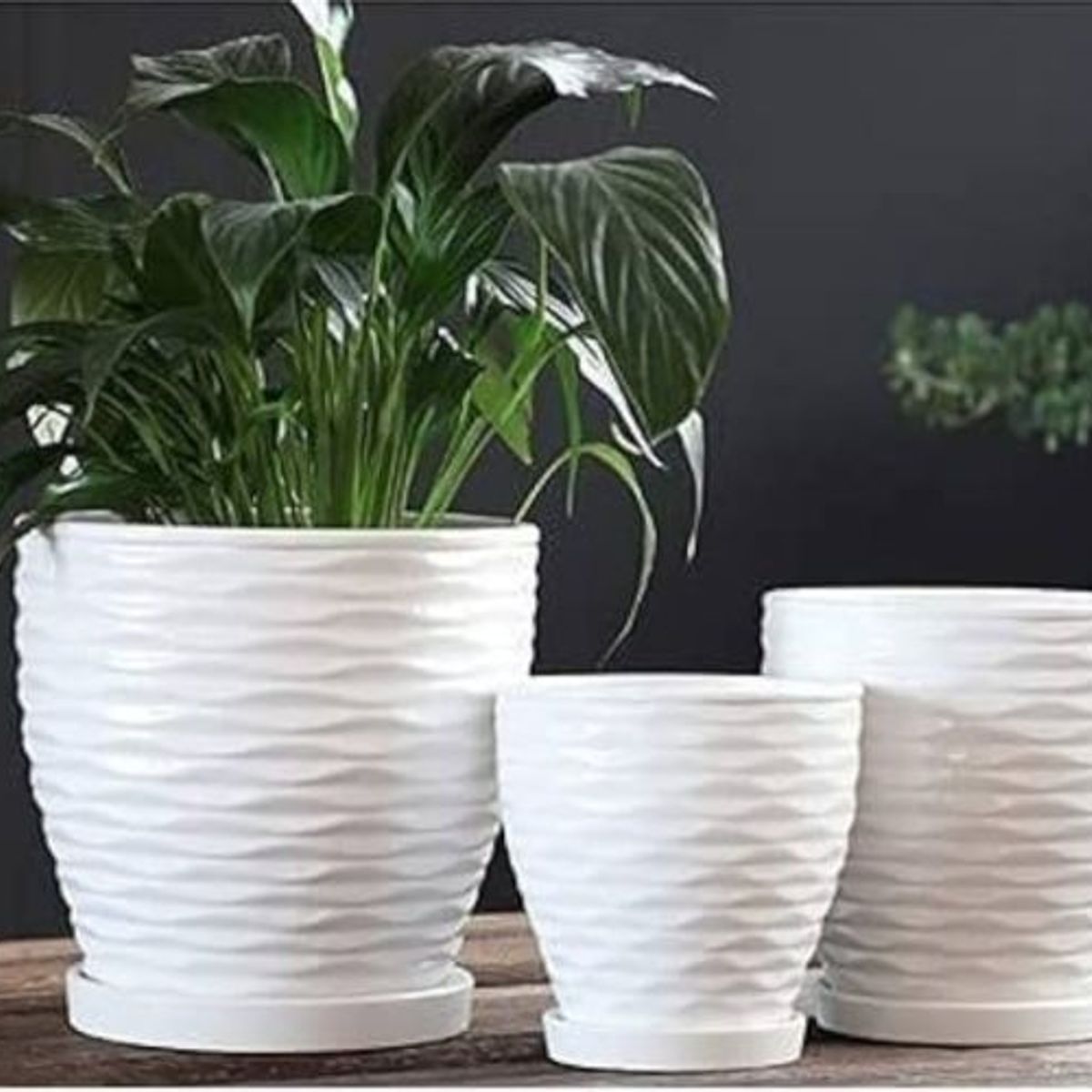 GENERICO - Set 3 Maceteros Ceramica Blanco Elegante Acanalado