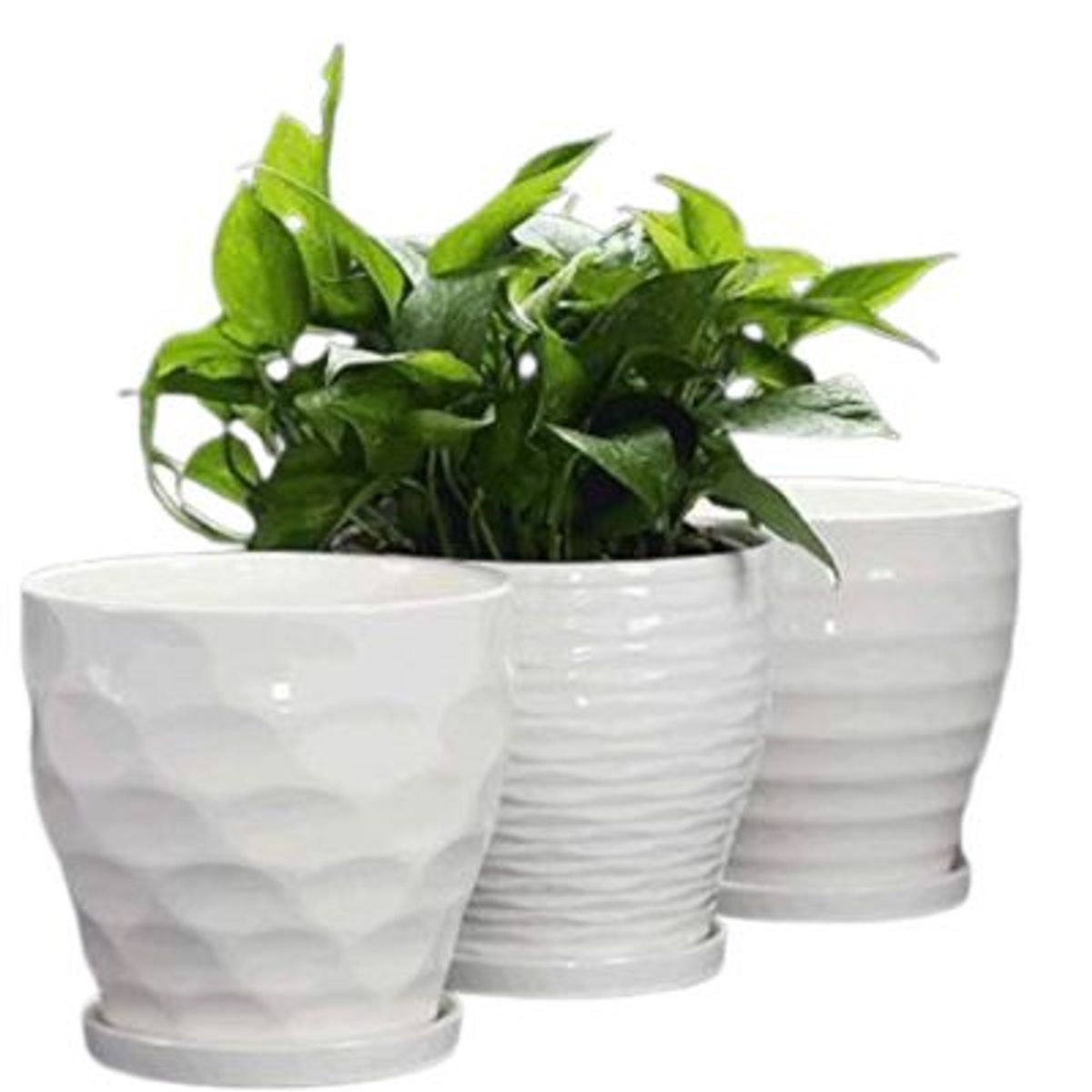 GENERICO - Set 3 Maceteros Ceramica Blanco Rayas Elegante