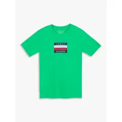 TOMMY HILFIGER - Polera De Niño Con Logo Signature Verde