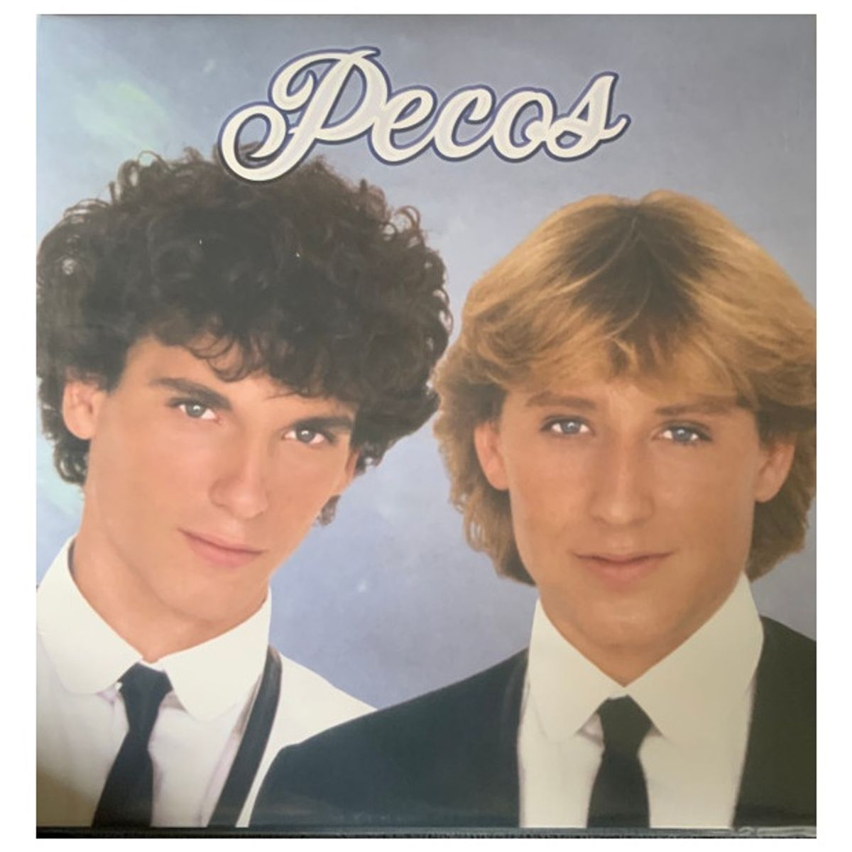 GENERICO - PECOS - SUS MEJORES CANCIONES (2LP) / VINILO