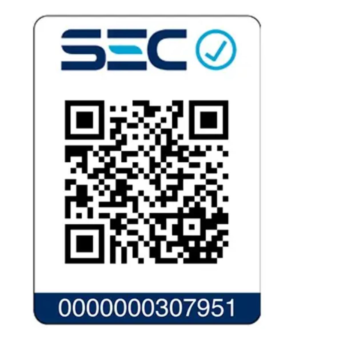 SIEGEN - Alisador Get Ready For You SIEGEN SG-4654