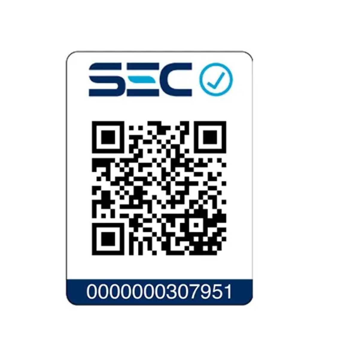 SIEGEN - Alisador Get Ready For You SIEGEN SG-4654