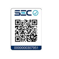 Alisador Get Ready For You SG-4654