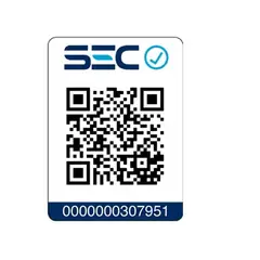 SIEGEN - Alisador Get Ready For You SG-4654