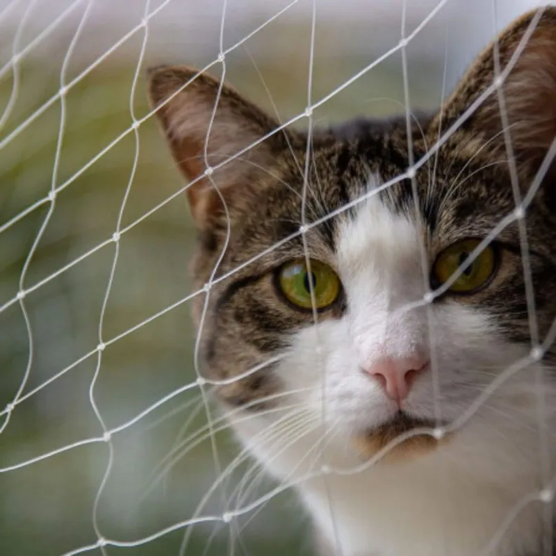 GENERICO - Malla para Gatos Wonder Cat S Mallas De Seguridad y Protección