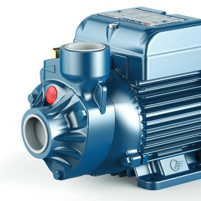Imagen 2 del producto Bomba Periférica Pkm60 Aguas Limpias 0,5 hp 220 v