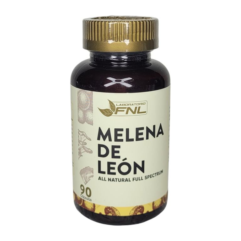 Suplemento Melena Leon Natural Enfoque Concentrado Mente