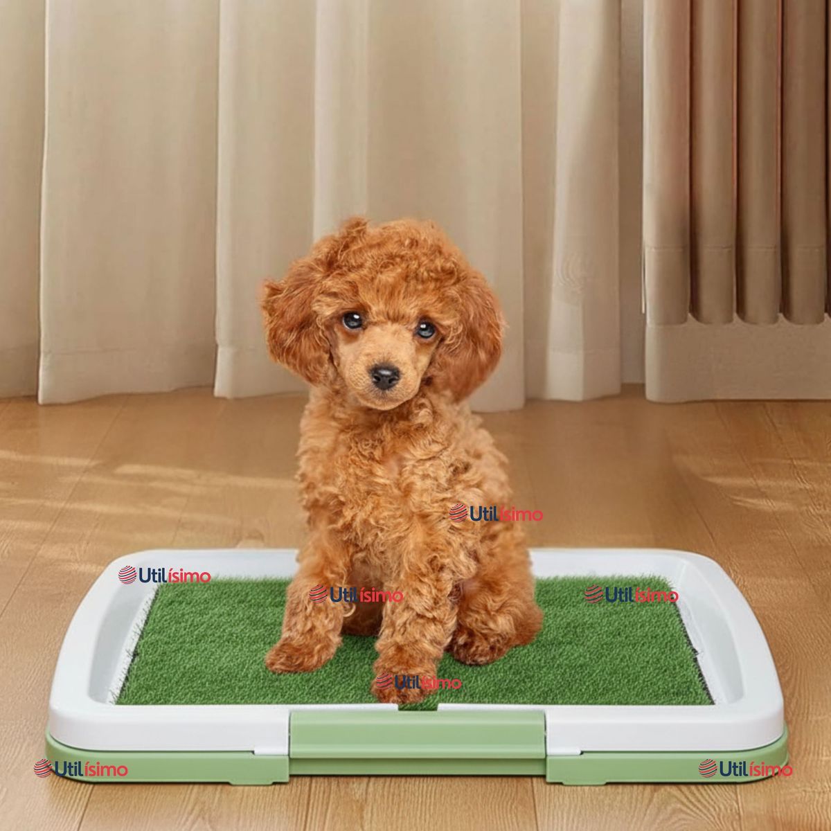 LINE - Baño Ecológico Reutilizable Perros Adiestramiento Mascotas