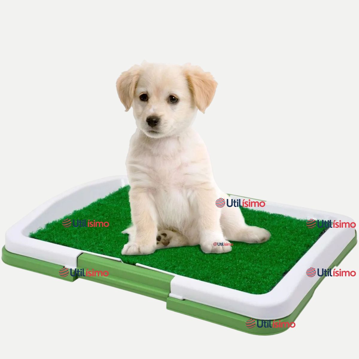 LINE - Baño Ecológico Reutilizable Perros Adiestramiento Mascotas