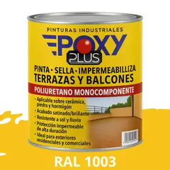 EPOXY - TERRAZAS Y BALCONES- Pinta Sella e Impermeabiliza - 500CC RAL 1004