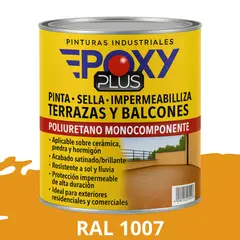 EPOXY - TERRAZAS Y BALCONES- Pinta Sella e Impermeabiliza - 500CC RAL 1007