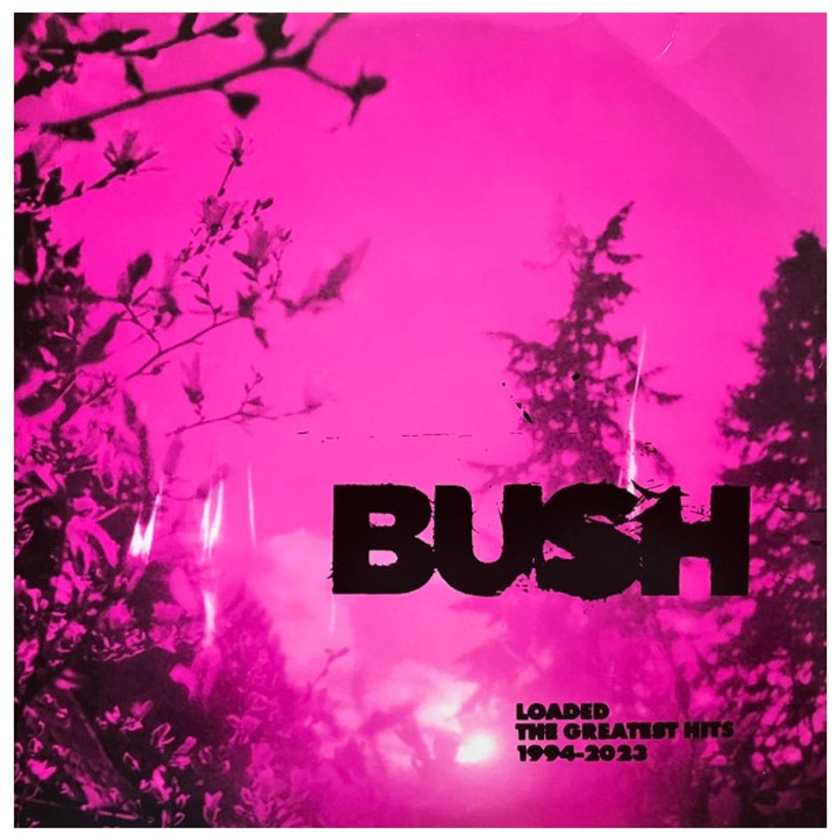 GENERICO - BUSH - GREATEST HITS 1994-2023 (CLEAR VINYL) (2LP) / VINILO