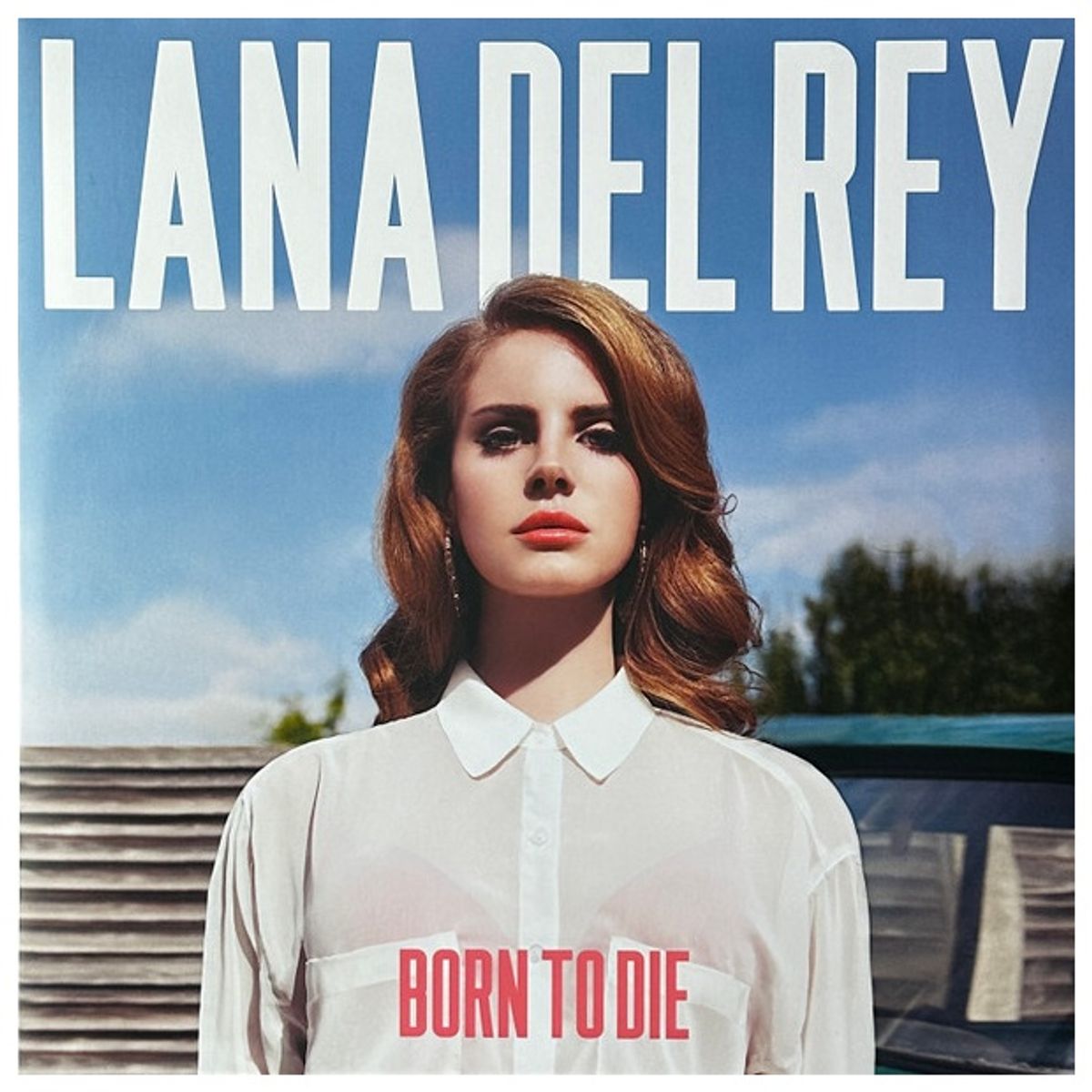 GENERICO - LANA DEL REY - BORN TO DIE (2LP) / VINILO
