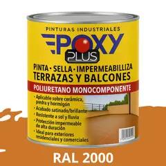 EPOXY - TERRAZAS Y BALCONES- Pinta Sella e Impermeabiliza - 500CC RAL 2000