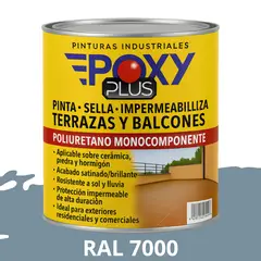 EPOXY - TERRAZAS Y BALCONES- Pinta Sella e Impermeabiliza - 500CC RAL 7000