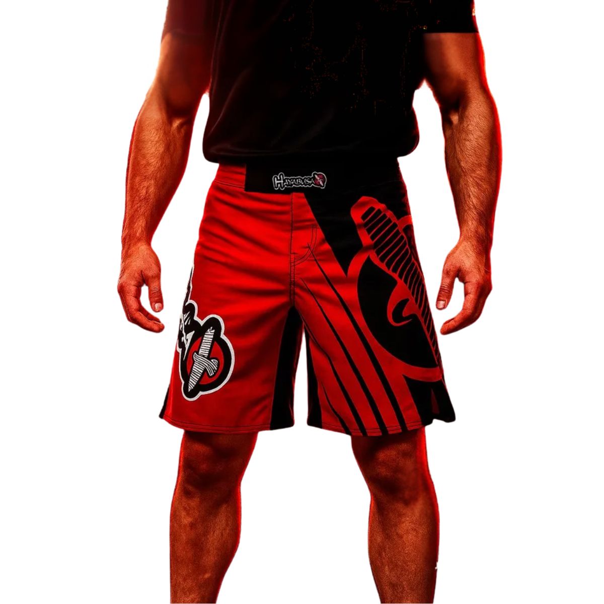 GENERICO - SHORT HAYABUSA RECAST L