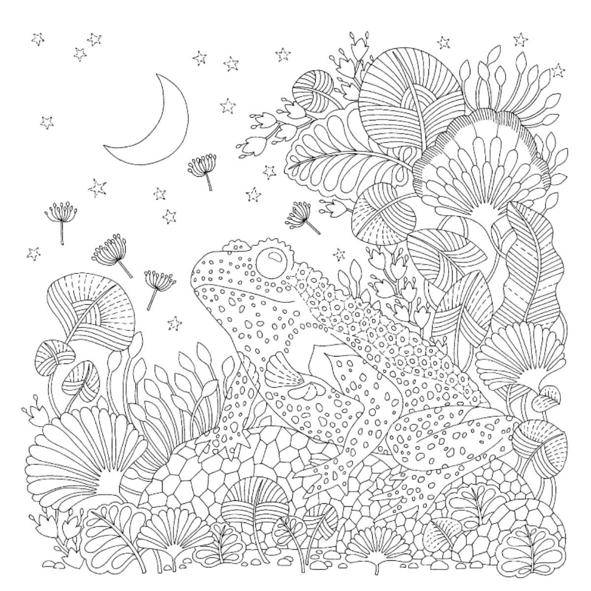 BLUME - Un planeta precioso de Editorial Blume