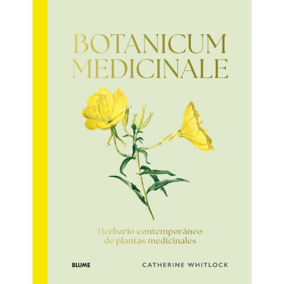 BLUME - Botanicum Medicinale