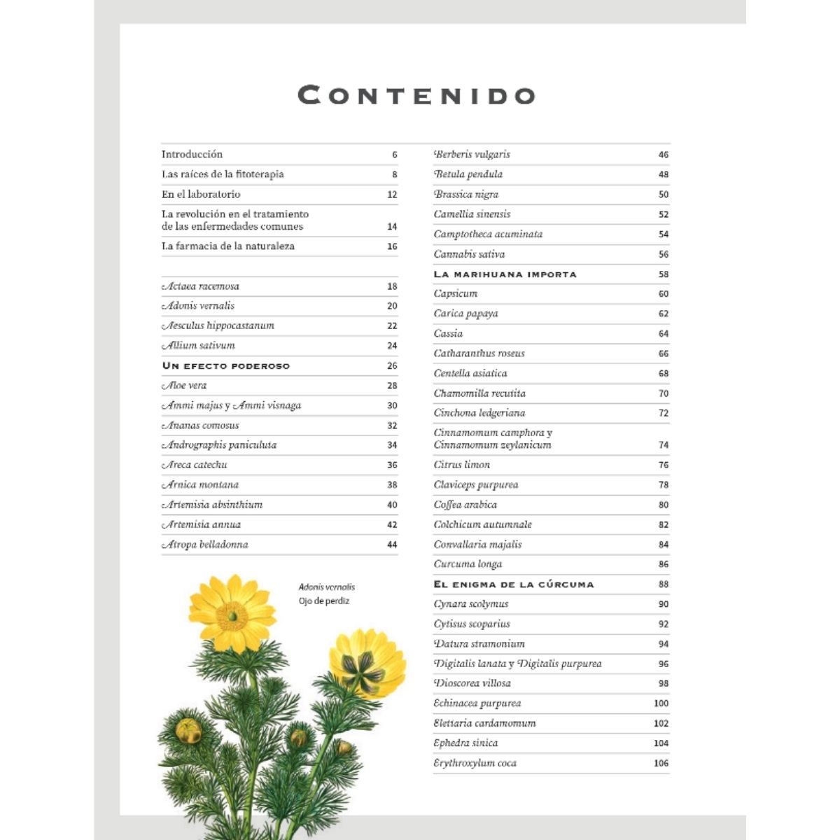 BLUME - Botanicum Medicinale
