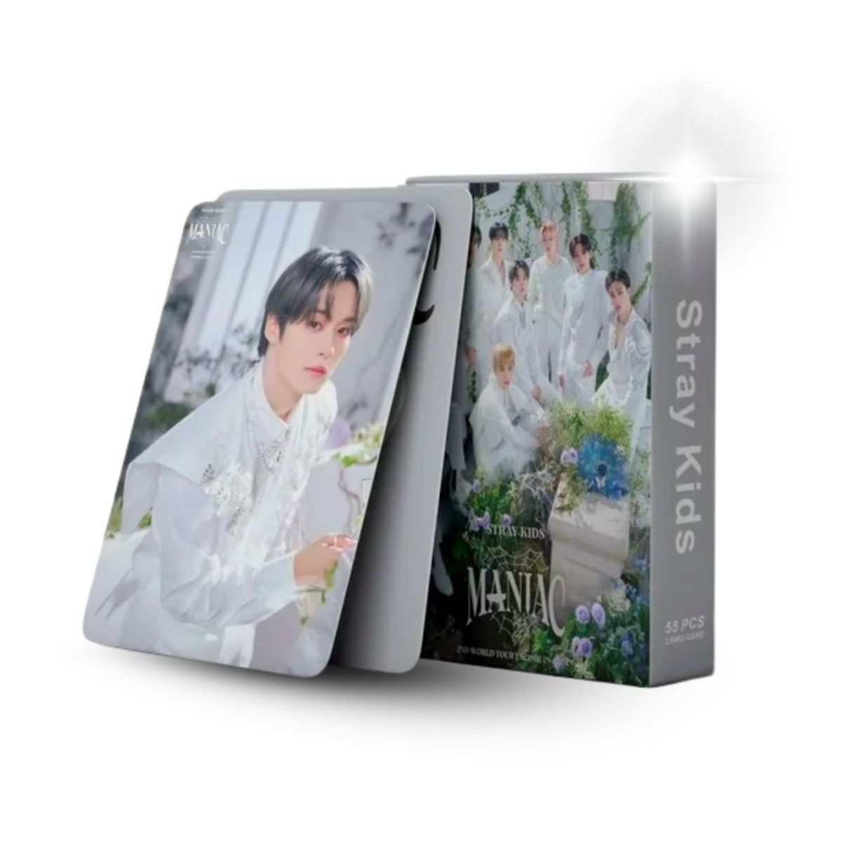 COMPUTECH - Lomo Card Set 55 Photocards Stray Kids Maniac Japan Encore