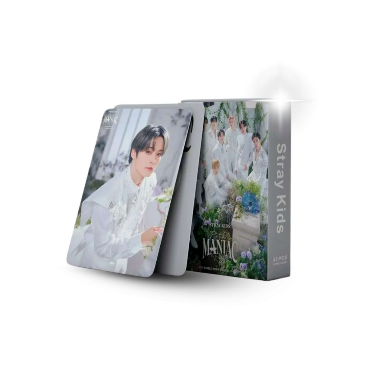 COMPUTECH - Lomo Card Set 55 Photocards Stray Kids Maniac Japan Encore