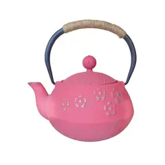 COLETTE - Tetera De Hierro Japonesa Coral