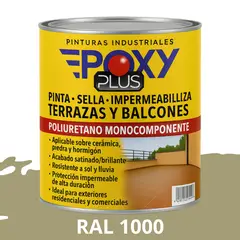 EPOXY - TERRAZAS Y BALCONES- Pinta Sella e Impermeabiliza - RAL 1000