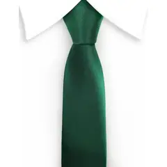 XPRESS RECHARGE - Corbata Verde Esmeralda Satinada para Hombre Elegante y Moderna