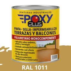 EPOXY - TERRAZAS Y BALCONES- Pinta Sella e Impermeabiliza - RAL 1011