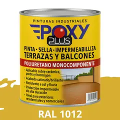 EPOXY - TERRAZAS Y BALCONES- Pinta Sella e Impermeabiliza - RAL 1012