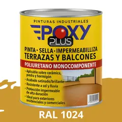 EPOXY - TERRAZAS Y BALCONES- Pinta Sella e Impermeabiliza - RAL 1024