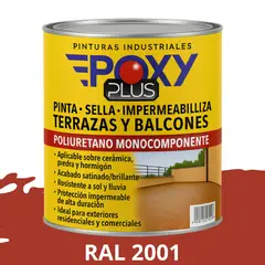EPOXY - TERRAZAS Y BALCONES- Pinta Sella e Impermeabiliza - RAL 2001