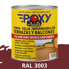 EPOXY - TERRAZAS Y BALCONES- Pinta Sella e Impermeabiliza - RAL 3003