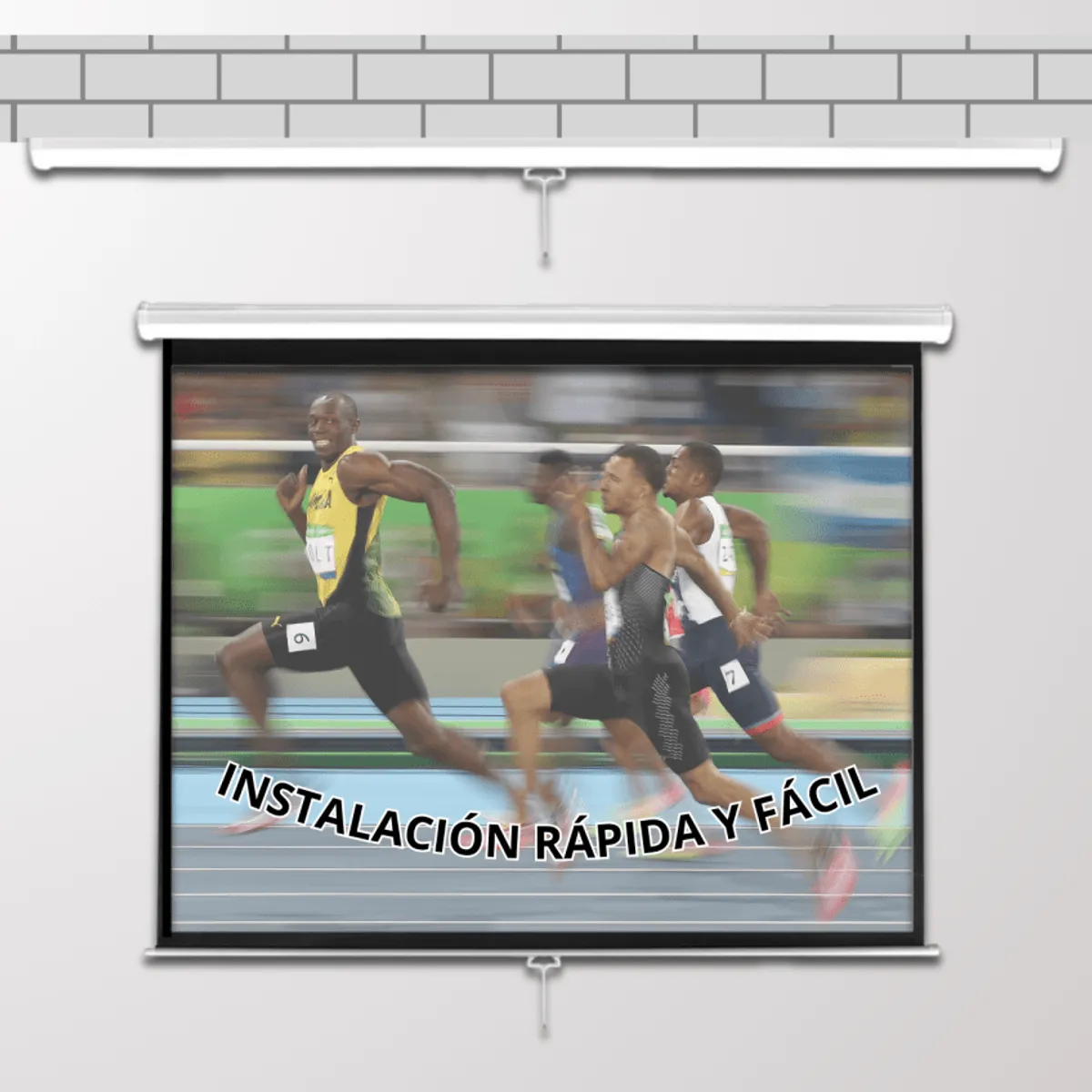 MALIK - Telon Mural 2.40mx2.40m 1:1 135 pulg. para Epron L260F