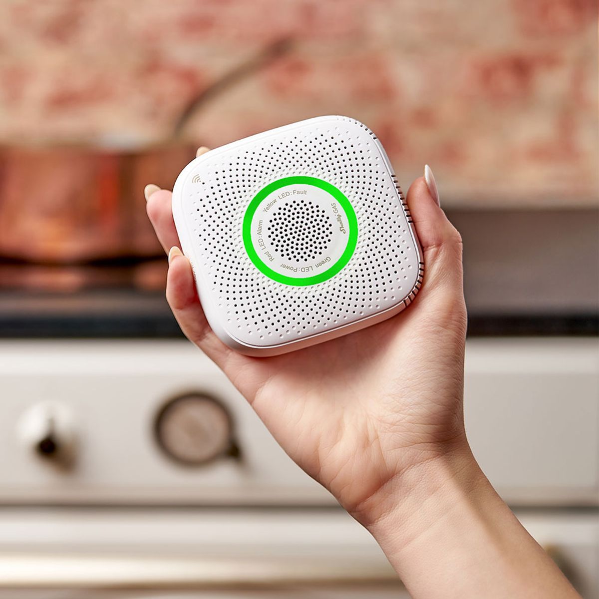 SHELLY - Sensor de Gas Inteligente WiFi Shelly CNG