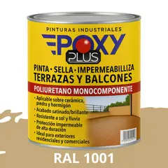 EPOXY - TERRAZAS Y BALCONES- Pinta Sella e Impermeabiliza - 1L RAL 1001
