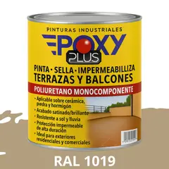 EPOXY - TERRAZAS Y BALCONES- Pinta Sella e Impermeabiliza - 1L RAL 1019
