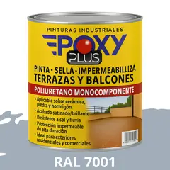 EPOXY - TERRAZAS Y BALCONES- Pinta Sella e Impermeabiliza - 1L RAL 7001