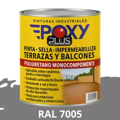 EPOXY - TERRAZAS Y BALCONES- Pinta Sella e Impermeabiliza - 1L RAL 7005