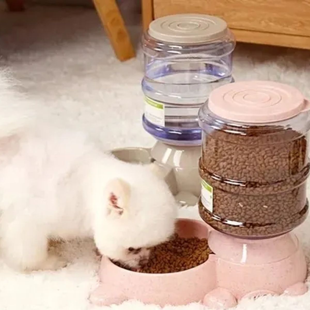 GENERICO - Dispensador comida automático mascotas 3kg